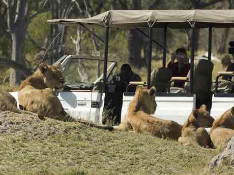 Best of Botswana Fly-in Safari